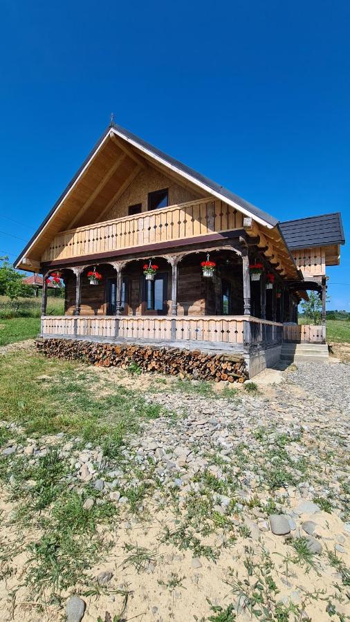 Вилла Casa Bunicilor Din Oncesti Экстерьер фото